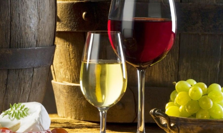 El-Lenguaje-el-Vino-el-portal-del-chacinado