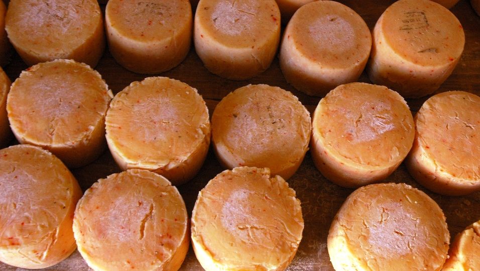 Queso-de-Tafí-del-Valle-El-Portal-del-Chacinado