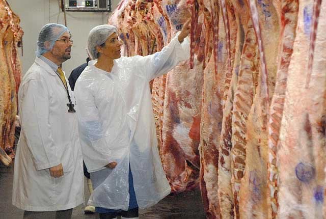 Requisitos para habilitación de mataderos frigoríficos en Argentina
