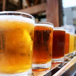 Metodo-para-catado-de-cerveza-El-Portal-del-Chacinado