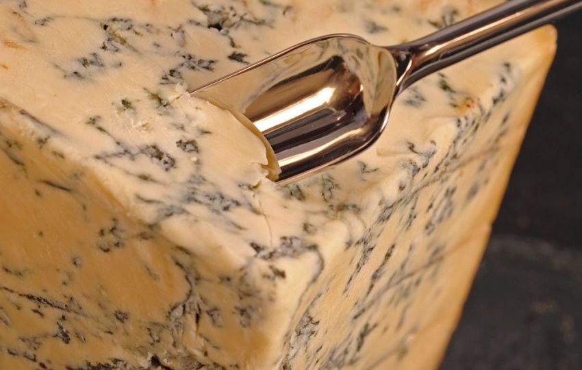 queso-stilton- el portal-del-chacinado